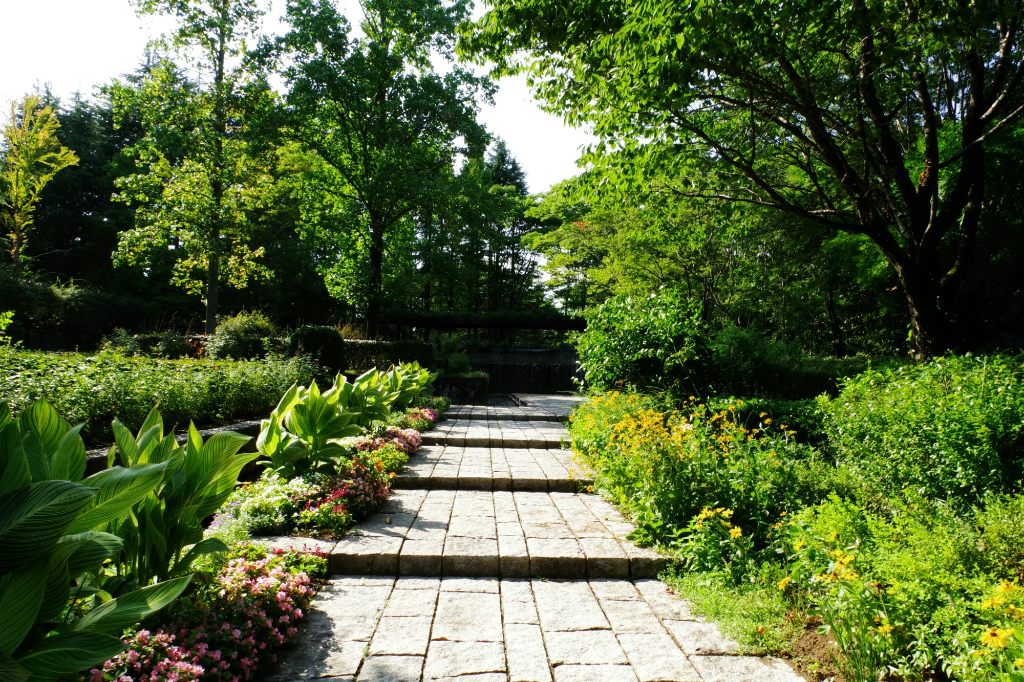 TF Paysage Instagram